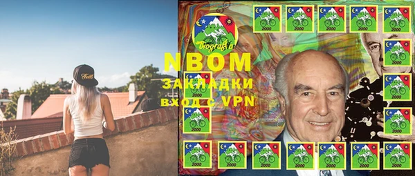 a pvp Новозыбков
