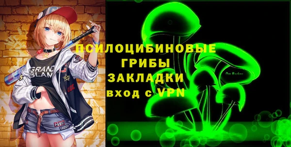 a pvp Новозыбков