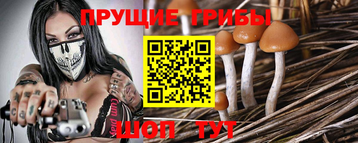Галлюциногенные грибы мицелий  Псилоцибиновые грибы Cubensis  Вход с VPN  Люберцы 