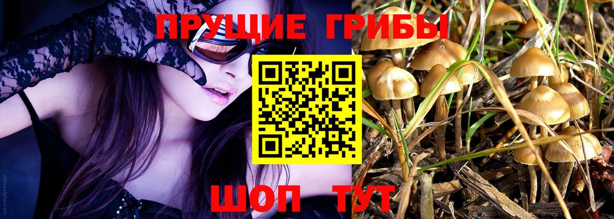 Псилоцибиновые грибы мухоморы Люберцы